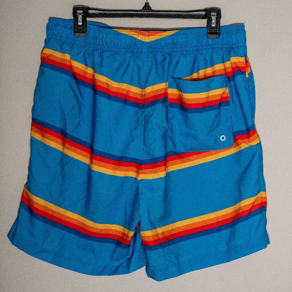 Men's Speedo Swim Trunks